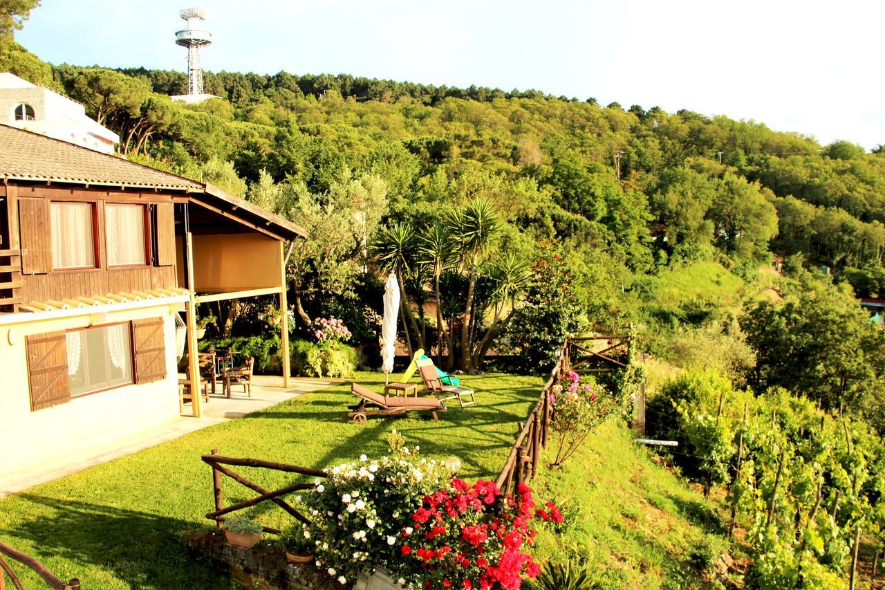 Chalet Annie Villa Península Sorrentina Exterior foto